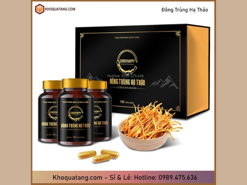 Đông Trùng Hạ Thảo được coi như "thần dược" vô cùng quý giá trong lịch sử y học cổ truyền